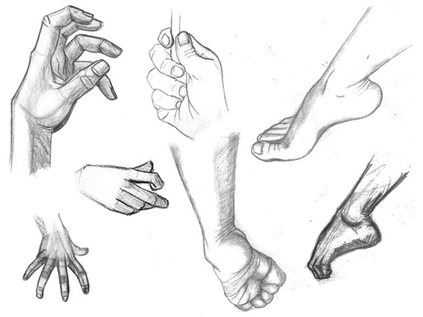 Life Drawing Hands and Feet
